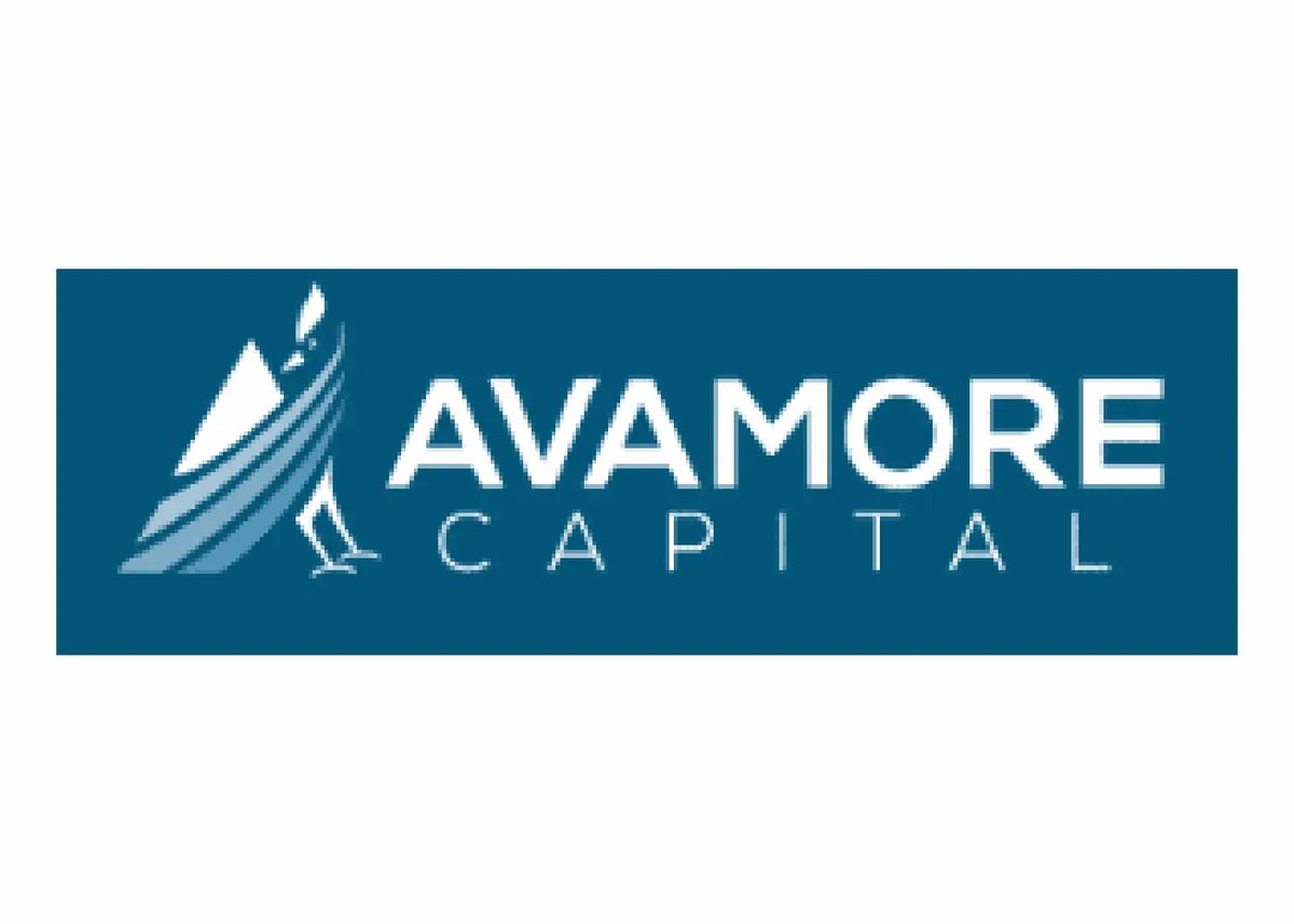 Our Lenders - Avamore Capital